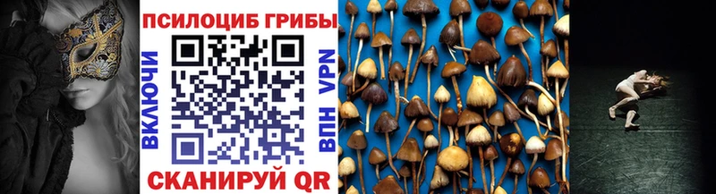 как найти закладки мега рабочий сайт Галлюциногенные грибы Psilocybine cubensis Малоархангельск